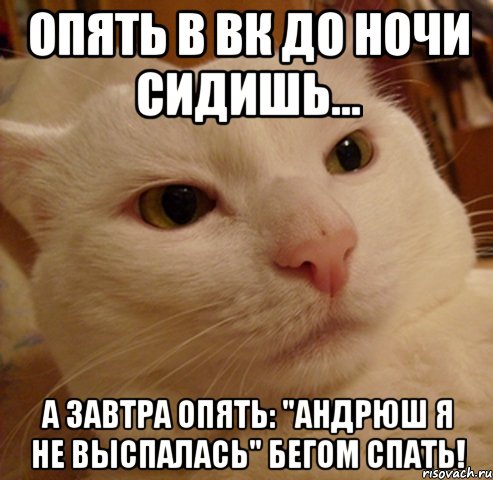 Опять в вк до ночи сидишь... А завтра опять: "Андрюш я не выспалась" Бегом спать!, Мем Дерзкий котэ