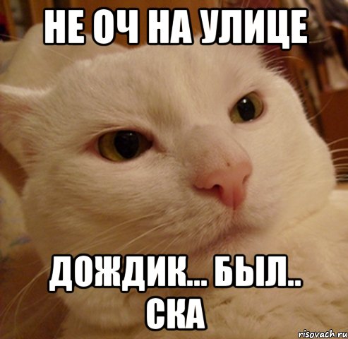 не оч на улице дождик... был.. ска, Мем Дерзкий котэ