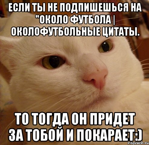 Если ты не подпишешься на "Около футбола | околофутбольные цитаты. То тогда он придет за тобой и покарает:), Мем Дерзкий котэ