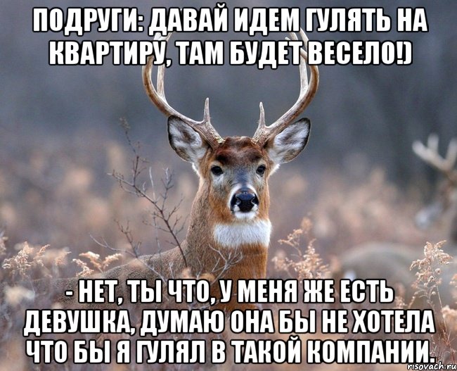 Подруги: Давай идем гулять на квартиру, там будет весело!) - Нет, ты что, у меня же есть девушка, думаю она бы не хотела что бы я гулял в такой компании., Мем   Наивный олень