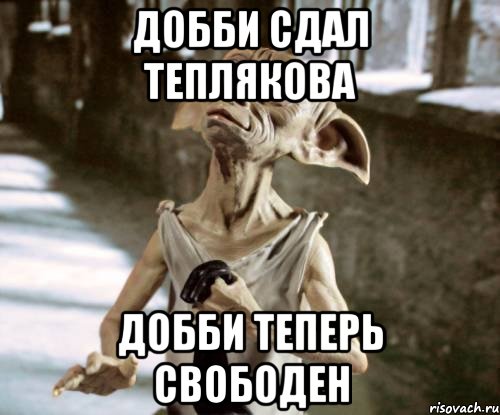 Добби сдал теплякова Добби теперь свободен