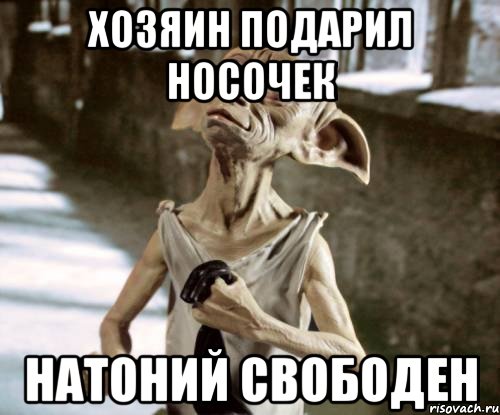 Хозяин подарил носочек Натоний свободен