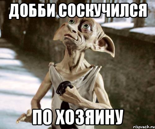 добби соскучился по хозяину