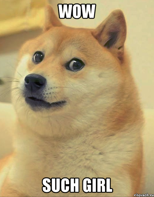 wow such girl, Мем doge woof