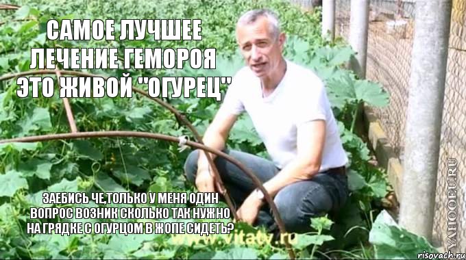 Самое лучшее лечение гемороя это живой "огурец" заебись че,только у меня один вопрос возник сколько так нужно на грядке с огурцом в жопе сидеть?, Мем  Доктор попов