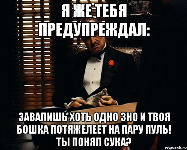 Я же тебя предупреждал: Завалишь хоть одно ЗНО и твоя бошка потяжелеет на пару пуль! Ты понял сука?, Мем Дон Вито Корлеоне