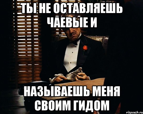 Ты не оставляешь чаевые и называешь меня своим гидом, Мем Дон Вито Корлеоне