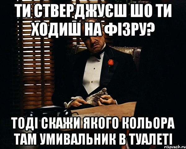 ти стверджуєш шо ти ходиш на фізру? тоді скажи якого кольора там умивальник в туалеті, Мем Дон Вито Корлеоне