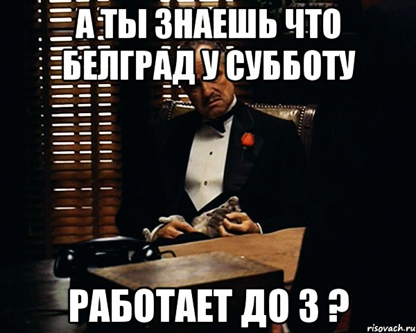 А ты знаешь что Белград у субботу Работает до 3 ?, Мем Дон Вито Корлеоне