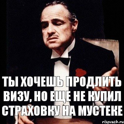 ты хочешь продлить визу, но еще не купил страховку на мустеке, Комикс Дон Вито Корлеоне 1