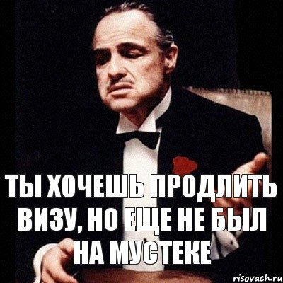 ты хочешь продлить визу, но еще не был на мустеке, Комикс Дон Вито Корлеоне 1