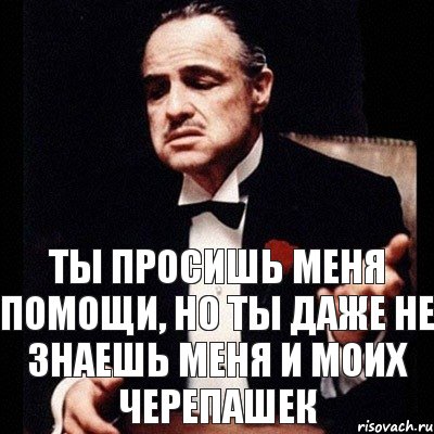 Ты просишь меня помощи, но ты даже не знаешь меня и моих черепашек