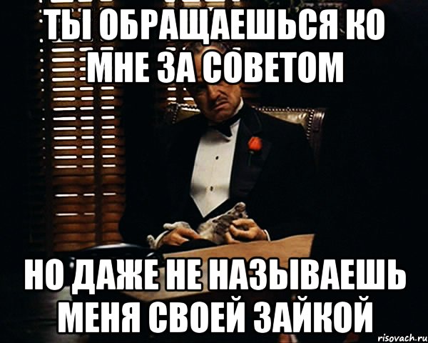 Ты обращаешься ко мне за советом Но даже не называешь меня своей зайкой, Мем Дон Вито Корлеоне