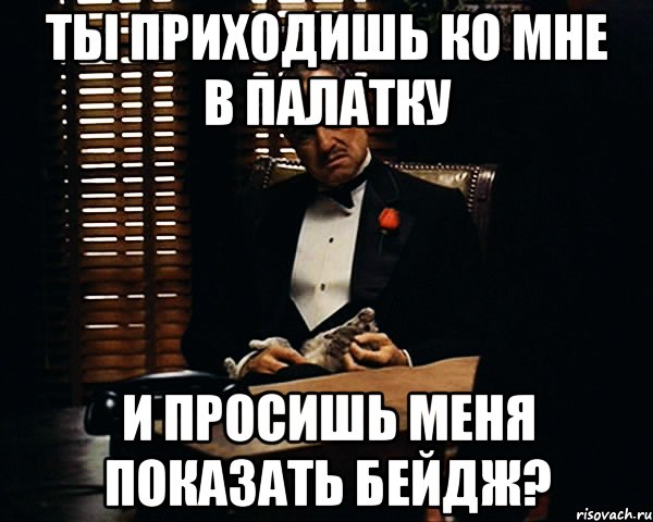 ты приходишь ко мне в палатку и просишь меня показать бейдж?, Мем Дон Вито Корлеоне