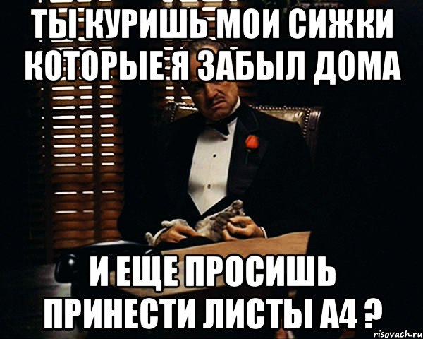 Ты куришь мои сижки которые я забыл дома И еще просишь принести листы а4 ?, Мем Дон Вито Корлеоне