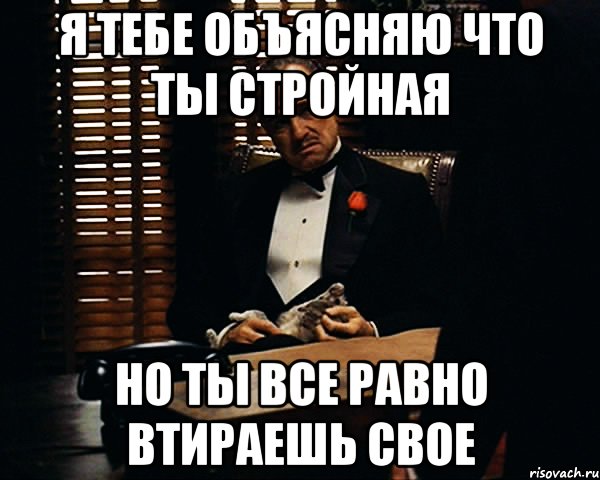 я тебе объясняю что ты стройная но ты все равно втираешь свое, Мем Дон Вито Корлеоне