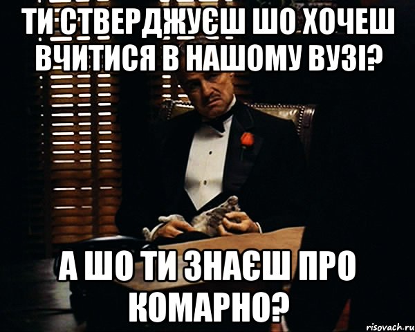 ти стверджуєш шо хочеш вчитися в нашому вузі? а шо ти знаєш про комарно?, Мем Дон Вито Корлеоне