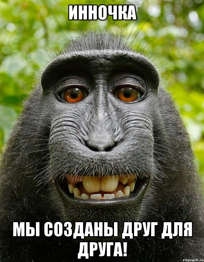 ИННОЧКА МЫ СОЗДАНЫ ДРУГ ДЛЯ ДРУГА!, Мем  Довольная обезьяна