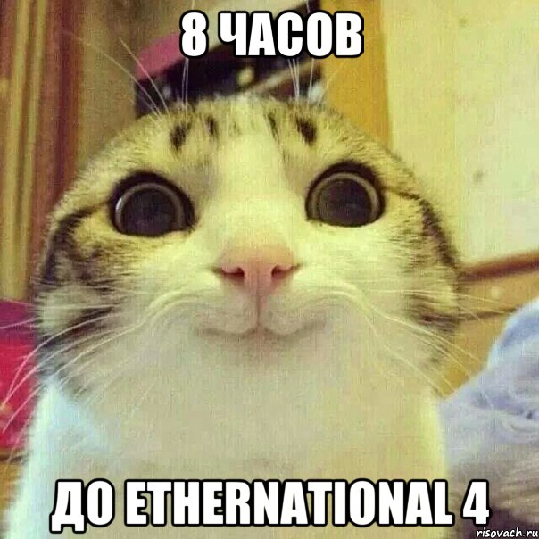 8 часов до Ethernational 4