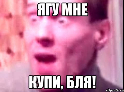 Ягу мне купи, бля!, Мем Дверь мне запили