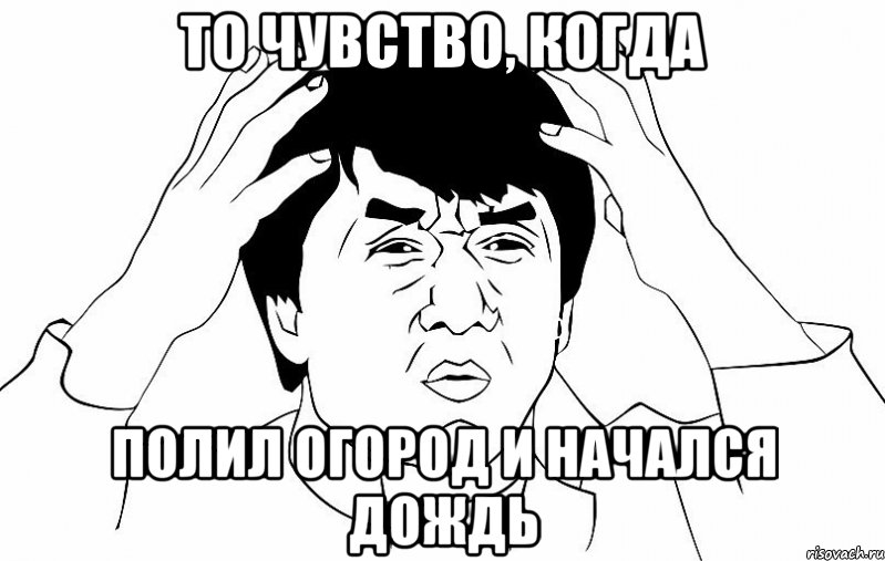 То чувство, когда Полил огород и начался дождь, Мем ДЖЕКИ ЧАН