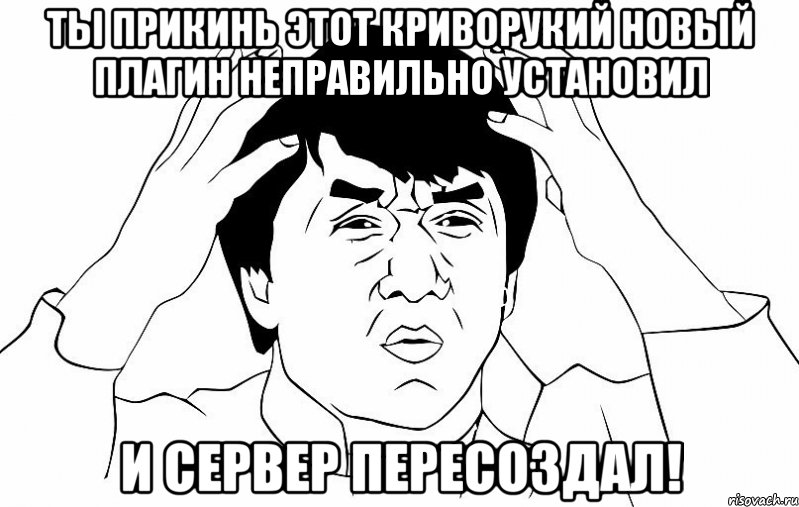 ты прикинь этот криворукий новый плагин неправильно установил и сервер пересоздал!, Мем ДЖЕКИ ЧАН