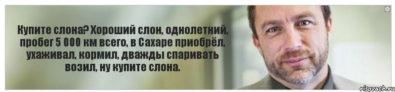 Купите слона? Хороший слон, однолетний, пробег 5 000 км всего, в Сахаре приобрёл, ухаживал, кормил, дважды спаривать возил, ну купите слона.