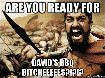 Are you ready for David's BBQ bitcheeeees?!?!?, Мем Это Спарта