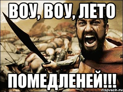 воу, воу, лето помедленей!!!, Мем Это Спарта