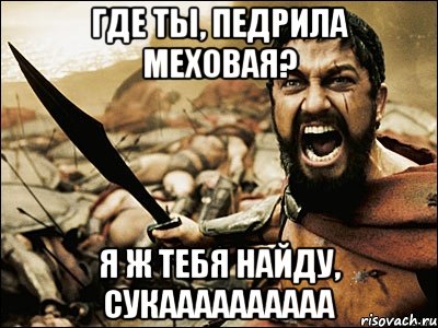 где ты, педрила меховая? я ж тебя найду, сукаааааааааа, Мем Это Спарта