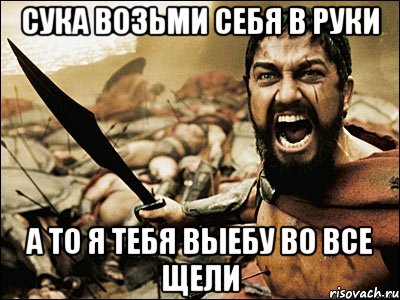 Сука возьми себя в руки а то я тебя выебу во все щели, Мем Это Спарта