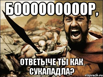 БОООООООООР, ОТВЕТЬ!ЧЕ ТЫ КАК СУКАПАДЛА?, Мем Это Спарта