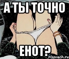 А ты точно Енот?, Мем А ты точно