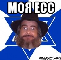 МОЯ ЕСС , Мем Еврей советчик