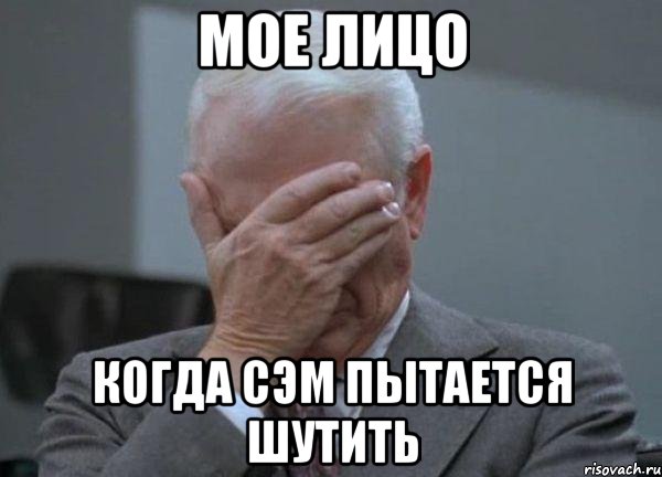 мое лицо когда сэм пытается шутить, Мем facepalm