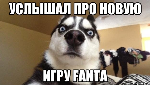 Услышал про новую игру Fanta