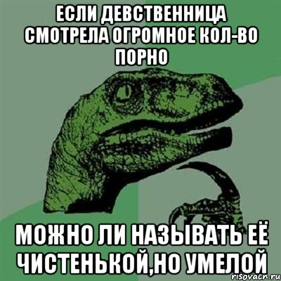 Если девственница смотрела огромное кол-во порно Можно ли называть её чистенькой,но умелой, Мем Филосораптор