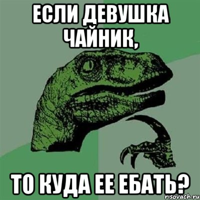 ЕСЛИ ДЕВУШКА ЧАЙНИК, ТО КУДА ЕЕ ЕБАТЬ?, Мем Филосораптор