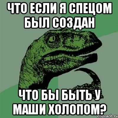 Что если я спецом был создан что бы быть у Маши холопом?, Мем Филосораптор