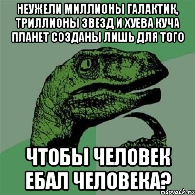 неужели миллионы галактик, триллионы звезд и хуева куча планет созданы лишь для того чтобы человек ебал человека?, Мем Филосораптор