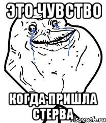 Это чувство когда пришла стерва, Мем Forever Alone