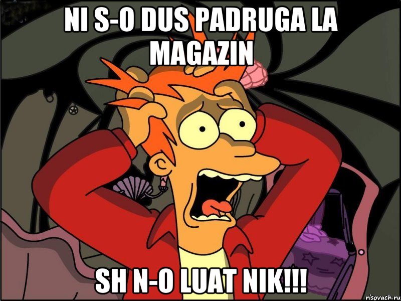 Ni s-o dus padruga la magazin sh n-o luat nik!!!, Мем Фрай в панике