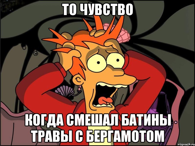 то чувство когда смешал батины травы с бергамотом, Мем Фрай в панике