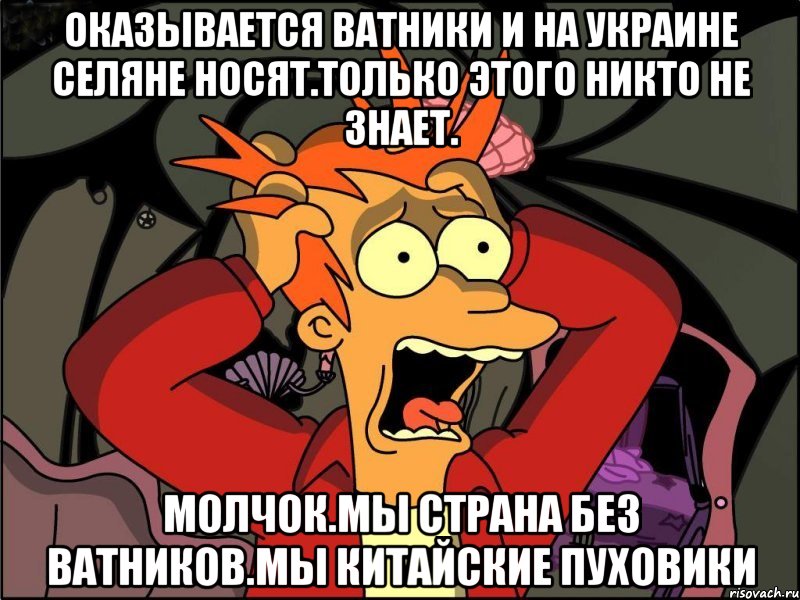 Оказывается ватники и на украине селяне носят.только этого никто не знает. Молчок.мы страна без ватников.мы китайские пуховики, Мем Фрай в панике