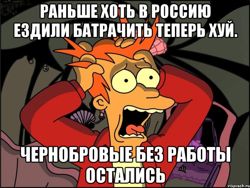 Раньше хоть в россию ездили батрачить теперь хуй. Чернобровые без работы остались, Мем Фрай в панике