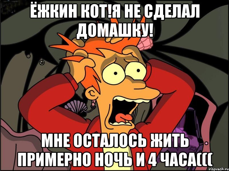 Ёжкин кот!Я не сделал домашку! Мне осталось жить примерно ночь и 4 часа(((, Мем Фрай в панике