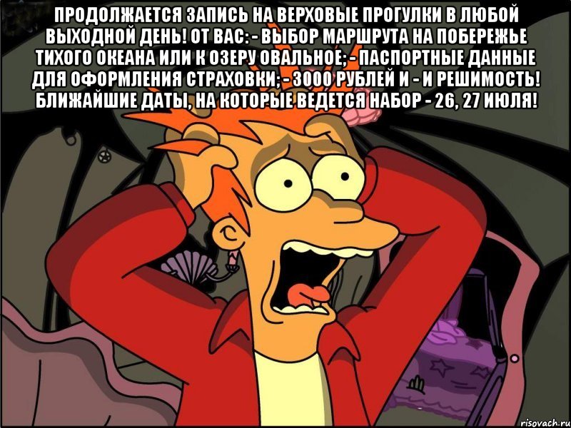 ПРОДОЛЖАЕТСЯ ЗАПИСЬ на верховые прогулки в любой выходной день! От Вас: - выбор маршрута на побережье Тихого океана или к озеру Овальное; - паспортные данные для оформления страховки; - 3000 рублей и - и решимость! Ближайшие даты, на которые ведется набор - 26, 27 июля! , Мем Фрай в панике