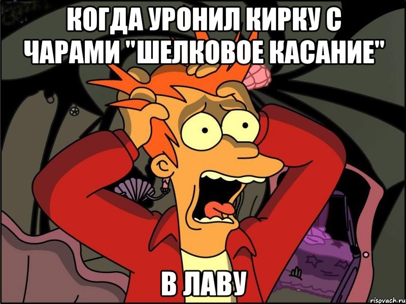 Когда уронил кирку с чарами "Шелковое касание" в лаву, Мем Фрай в панике