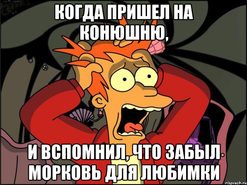 Когда пришел на конюшню, И вспомнил, что забыл морковь для любимки, Мем Фрай в панике