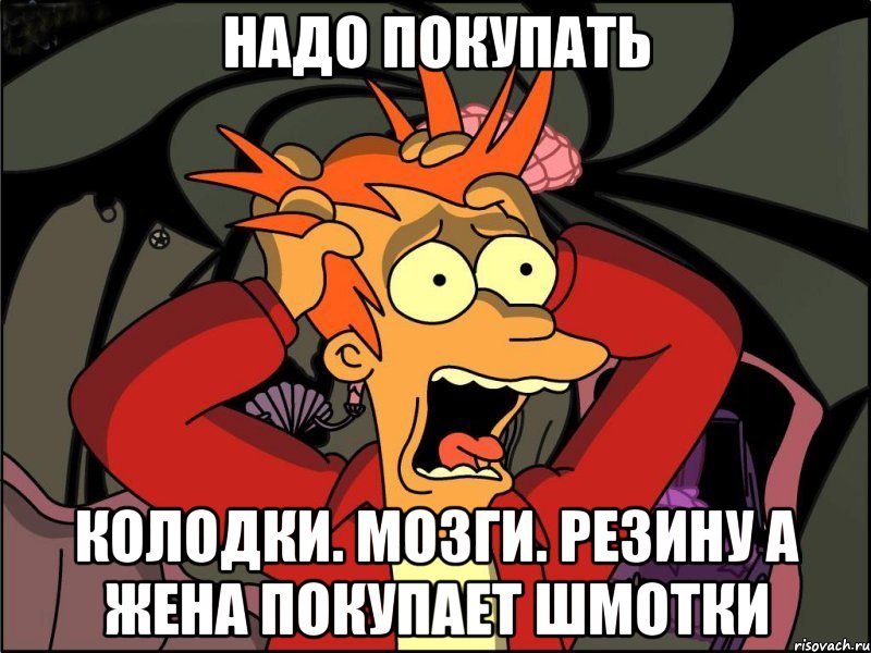 Надо покупать Колодки. Мозги. Резину а жена покупает шмотки, Мем Фрай в панике